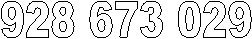 928 673 029