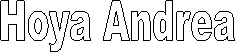 Hoya Andrea