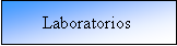 Cuadro de texto: Laboratorios