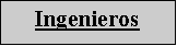 Cuadro de texto: Ingenieros